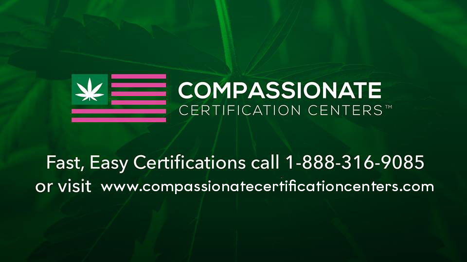 AI Health Outcomes Announce Patient Focused Medical Marijuana Research Study