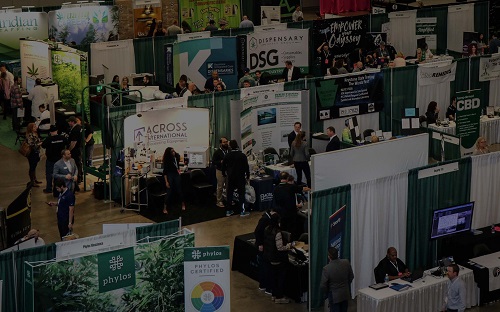 Medical Marijuana Research Program Launched in Pennsylvania